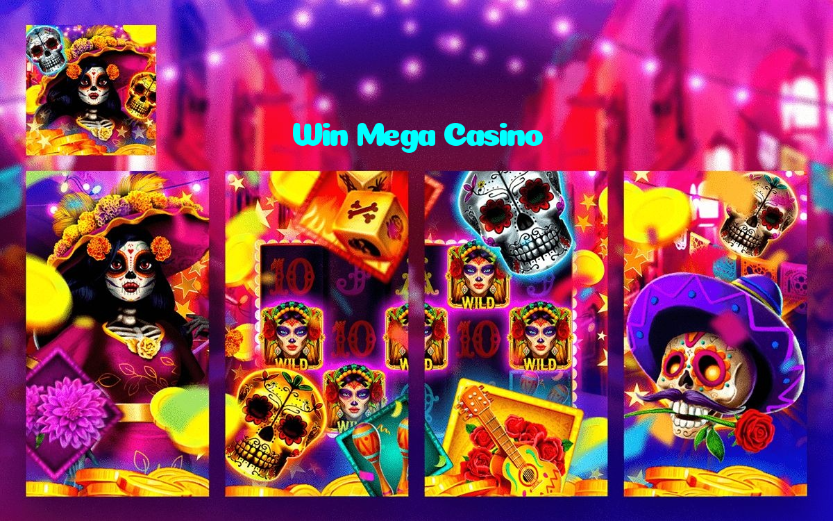 available types of Win Mega Casino bet including pre-match live express and system bets